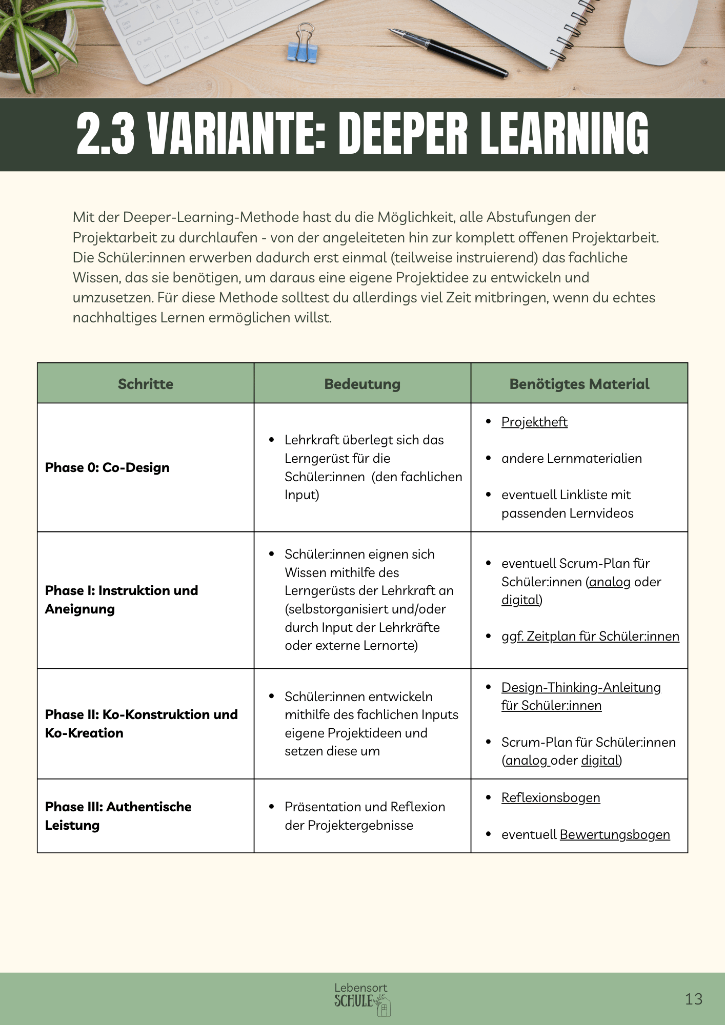 Praxisheft Projektarbeit: Variante: Deeper Learning